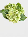 Real Touch Hydrangea Stem, Lifelike Faux Hydrangea Cluster - Green (extra)