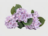 Real Touch Hydrangea Stem, Lifelike Faux Hydrangea Cluster - Lavender (extra)