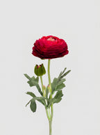Ranunculus Stem | Realistic Faux Floral with Bud Spray - Red