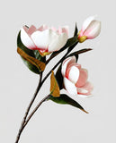 Real Touch Magnolia Stem 30", 3-Head Luxury Faux Magnolia - Pink (extra)