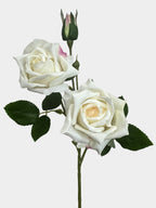 Real Touch Two Head Artificial Rose Stem - Champagne (extra)