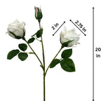 Real Touch Two Head Artificial Rose Stem - Champagne (extra)