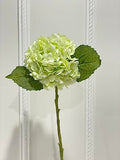 21-in Real Touch Hydrangea Arrangement in Glass Vase - Light Green