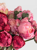 7 Stems Peony Bundle - Gallery