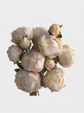 7 Stems Peony Bundle - Gallery