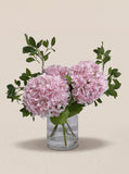 Pink Silk Hydrangea Faux Floral Arrangement in Clear Glass Cylinder Vase - front hero