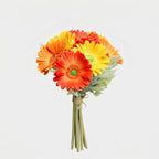Gerbera Daisy Bouquet (Studio Edit) - 45367007740201_Gerbera_Daisy_Bouquet_Detail