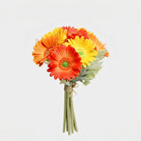 Gerbera Daisy Bouquet (Studio Edit) - 45367007740201_Gerbera_Daisy_Bouquet_Detail