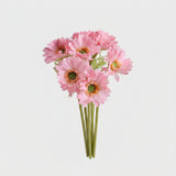 Gerbera Daisy Bouquet (Studio Edit) - 45367007936809_Real_Touch_Gerbera_Daisy_Bouquet_-_White_lifestyle