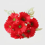 Gerbera Daisy Bouquet (Studio Edit) - 45367010033961_Real_Touch_Gerbera_Daisy_Bouquet_-_Red_lifestyle