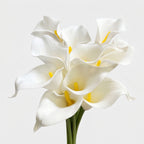 Small Calla Lily Bundle | Faux Real-Touch PU Lily 14.5" - White