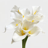 Small Calla Lily Bundle | Faux Real-Touch PU Lily 14.5" - White