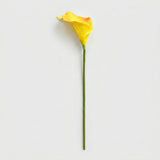Small Calla Lily Bundle | Faux Real-Touch PU Lily 14.5" - Yellow