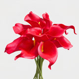 Small Calla Lily Bundle | Faux Real-Touch PU Lily 14.5" - Pink (extra)