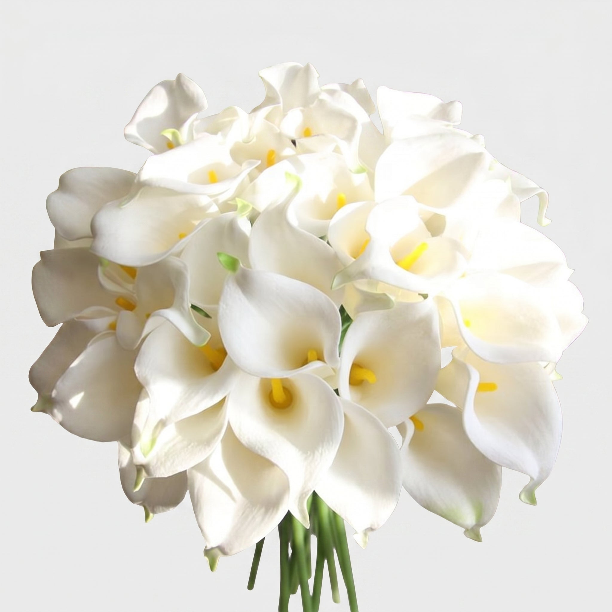 Small Calla Lily Bundle | Faux Real-Touch PU Lily 14.5" - White (extra)