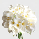 Small Calla Lily Bundle | Faux Real-Touch PU Lily 14.5" - White (extra)