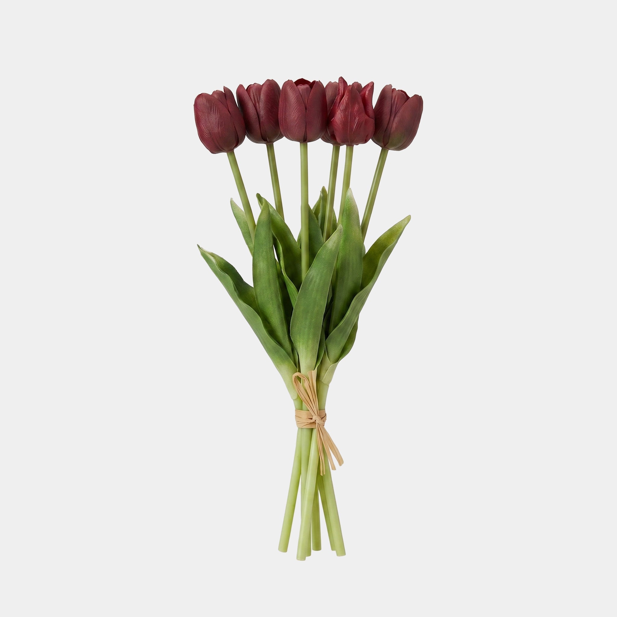 5 Fork Tulip Bundle - Dark Purple (Studio) Main image
