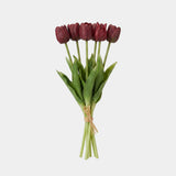 5 Fork Tulip Bundle - Dark Purple (Studio)