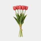 5 Fork Tulip Bundle - Deep Powder (Studio)