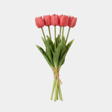 5 Fork Tulip Bundle - Deep Powder (Studio)