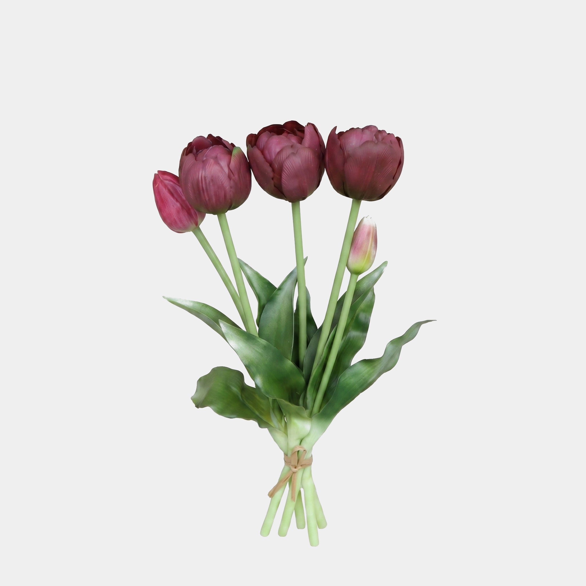 5 Peony Tulip Stem Bundle Secondary image