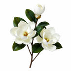 Real Touch Magnolia Stem 3-Head - Flovery