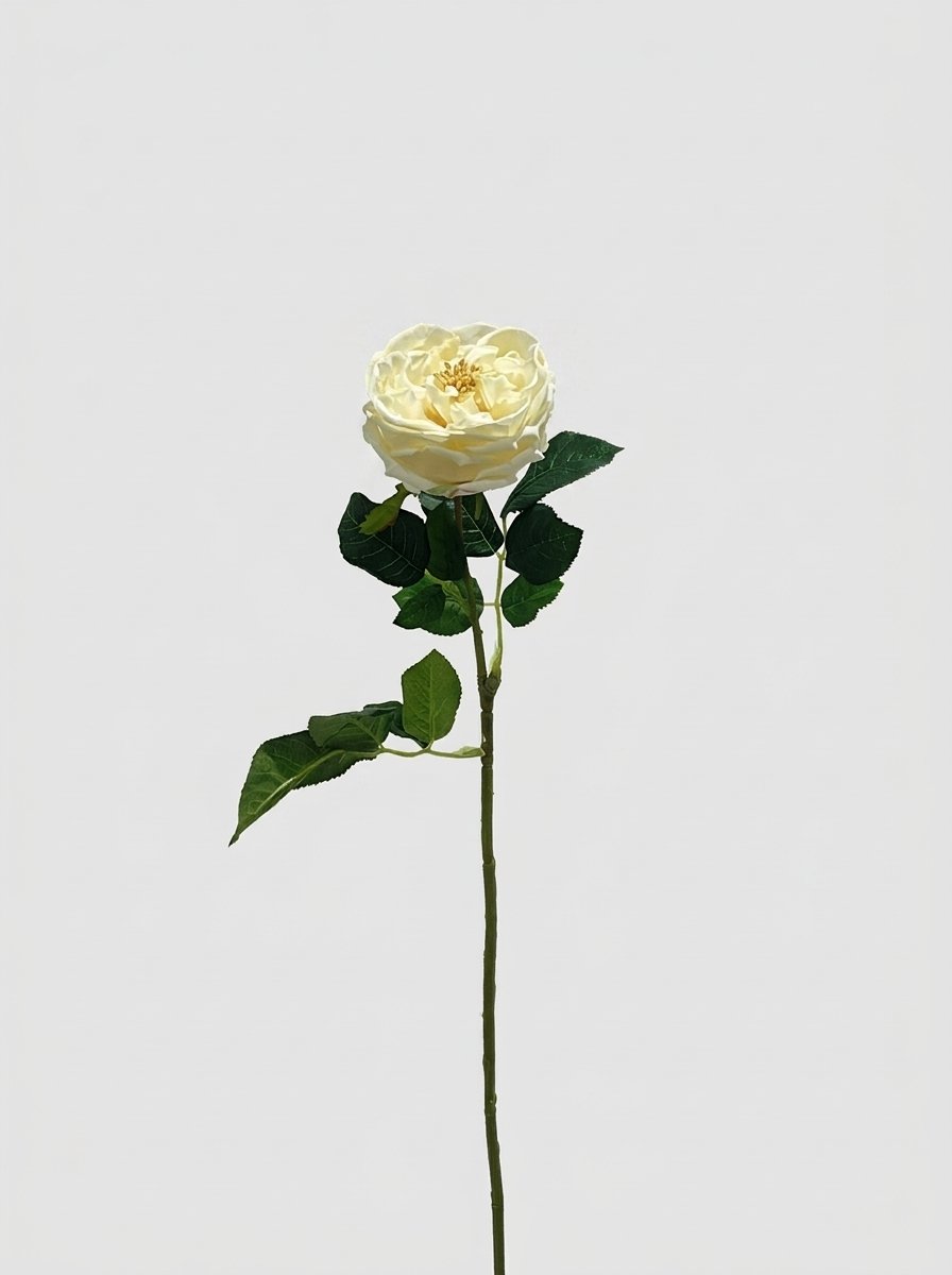 Real Touch Garden Rose Single Stem - Ivory