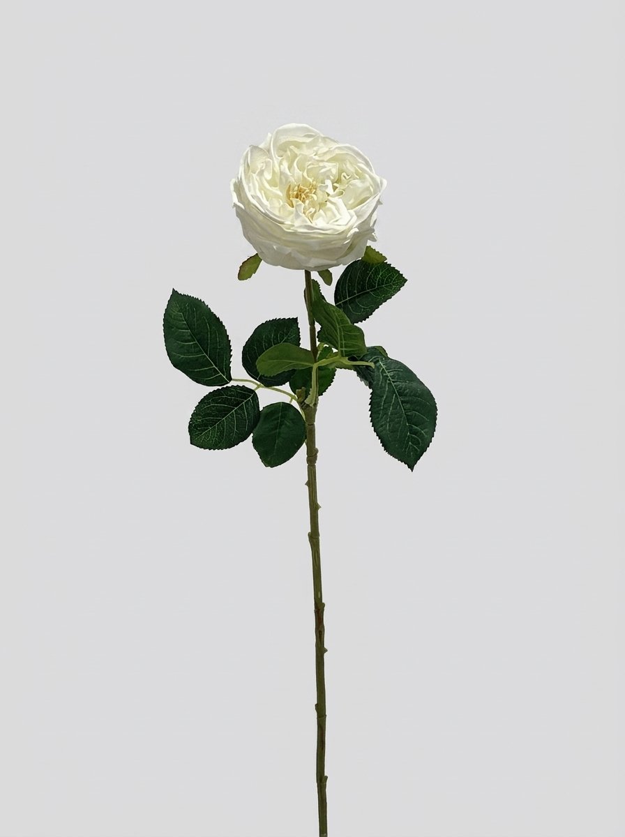 Real Touch Garden Rose Single Stem - Ivory White