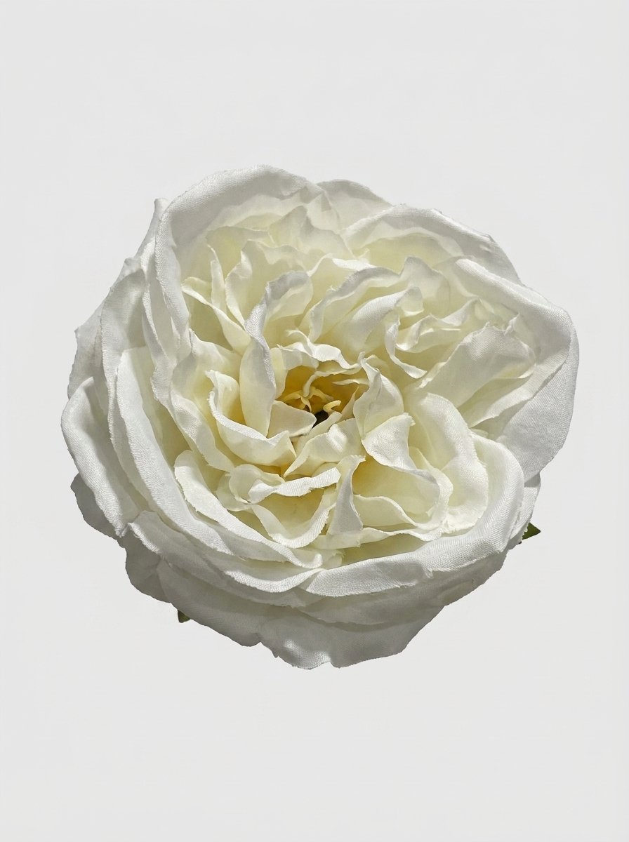 White - close-up