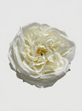 White - close-up