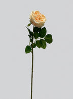 Real Touch Garden Rose Single Stem - Champagne Peach
