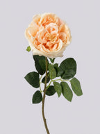 Real Touch Garden Rose Single Stem - Champagne Peach