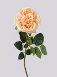 Real Touch Garden Rose Single Stem - Champagne Peach