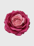 Magenta - close-up