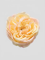 Soft Butter - close-up