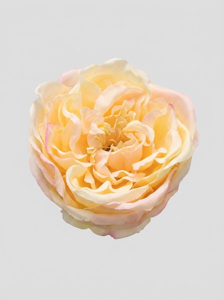 Soft Butter - close-up