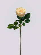Real Touch Garden Rose Single Stem - Soft Butter
