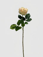 Real Touch Garden Rose Single Stem - Soft Butter