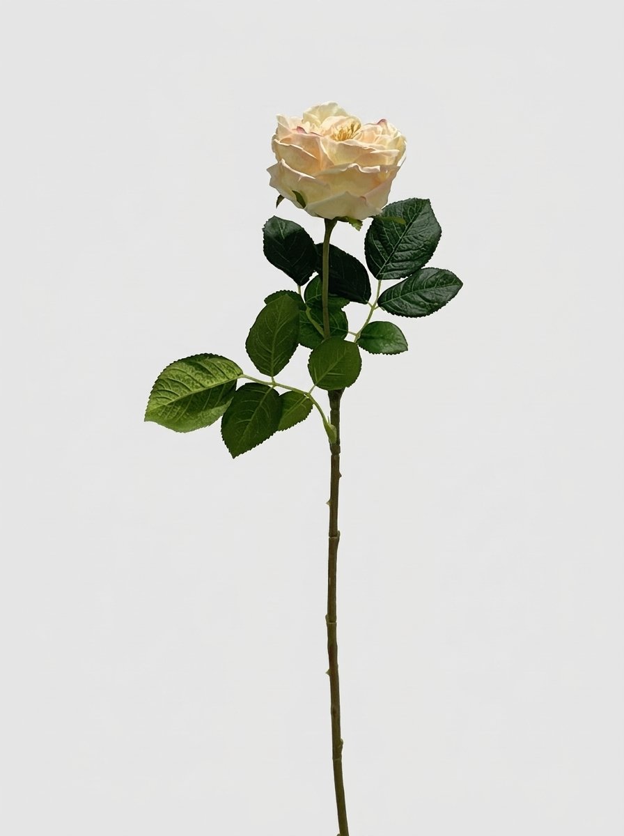 Real Touch Garden Rose Single Stem - Soft Butter