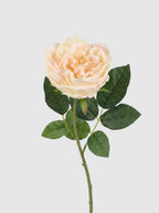 Real Touch Garden Rose Single Stem - Champagne Blush