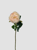 Real Touch Garden Rose Single Stem - Champagne Blush