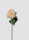 Real Touch Garden Rose Single Stem - Champagne Blush