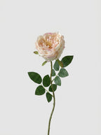 Real Touch Garden Rose Single Stem - Champagne Blush