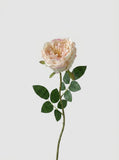 Real Touch Garden Rose Single Stem - Champagne Blush