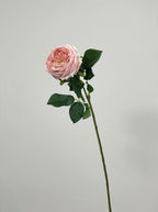 Real Touch Garden Rose Single Stem - Blush Pink