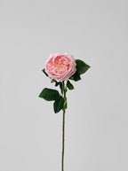 Real Touch Garden Rose Single Stem - Soft Pink