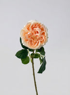 Real Touch Garden Rose Single Stem - Peach Blush