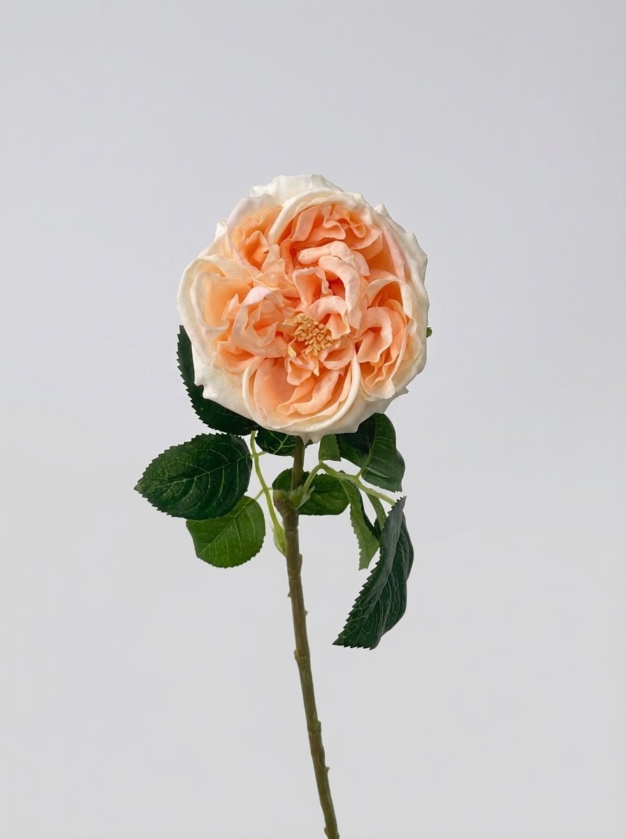 Real Touch Garden Rose Single Stem - Peach Blush