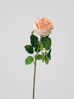 Real Touch Garden Rose Single Stem - Peach Blush
