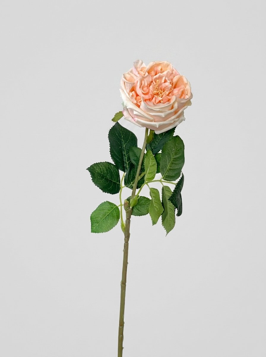 Real Touch Garden Rose Single Stem - Peach Blush
